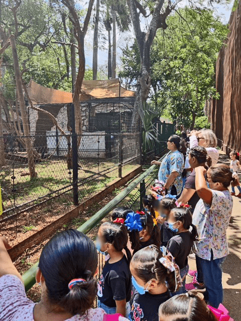 Volunteer teachers and a group of students at the zoo.